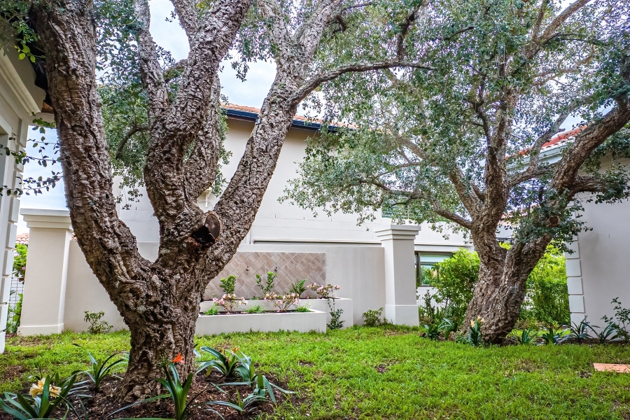 3 Bedroom Property for Sale in The Hill Western Cape